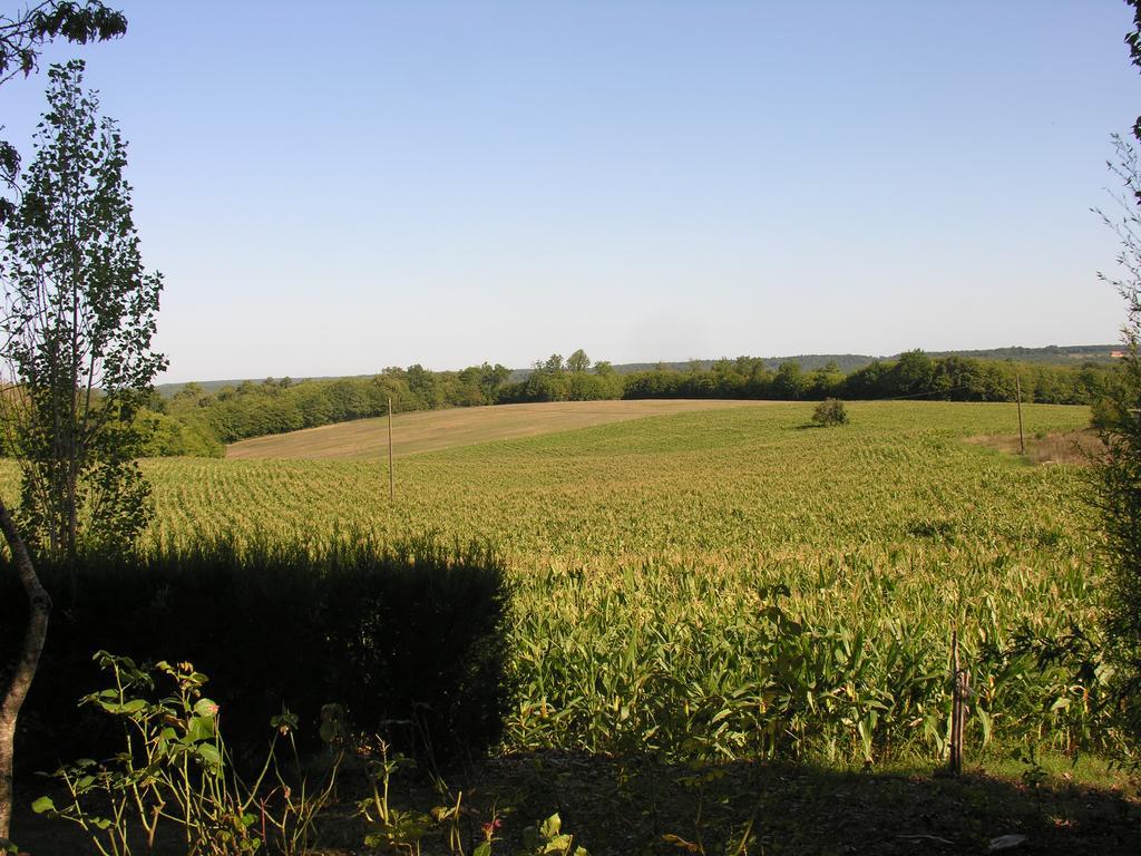 Chez Annie Vendégház Saint-Avit-Rivière Kültér fotó